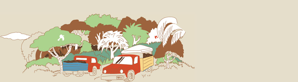 イラスト